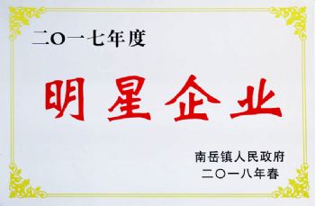 2017年度明星企业
