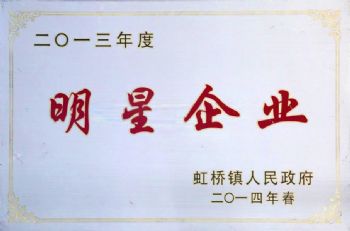  2013年度明星企业